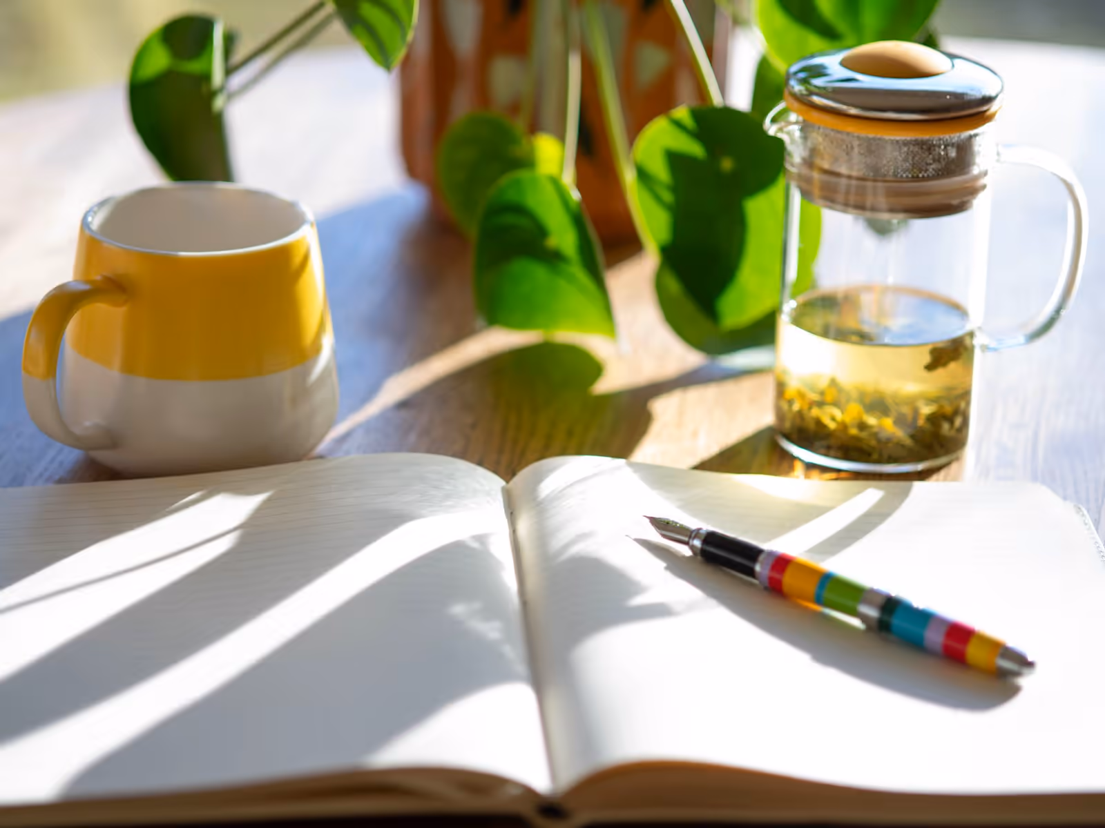 Carnet ouvert, thé et plante sur un bureau ensoleillé